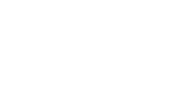 Valentin Gorsek Logo